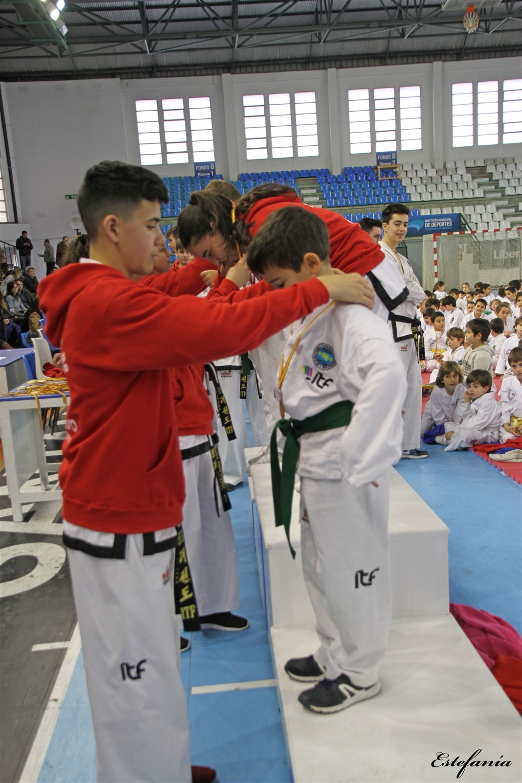 Taekwondo (255).jpg